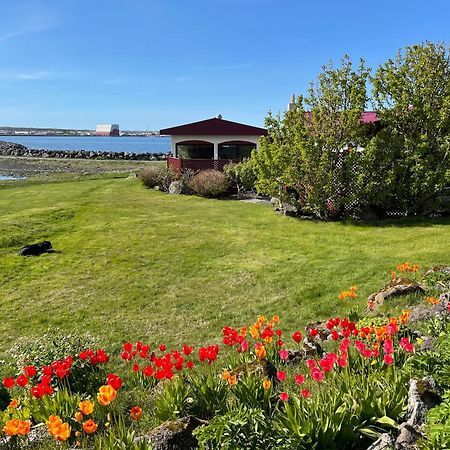 Alka - Cozy Room By The Sea With Private Hot Tub Njarthvik エクステリア 写真